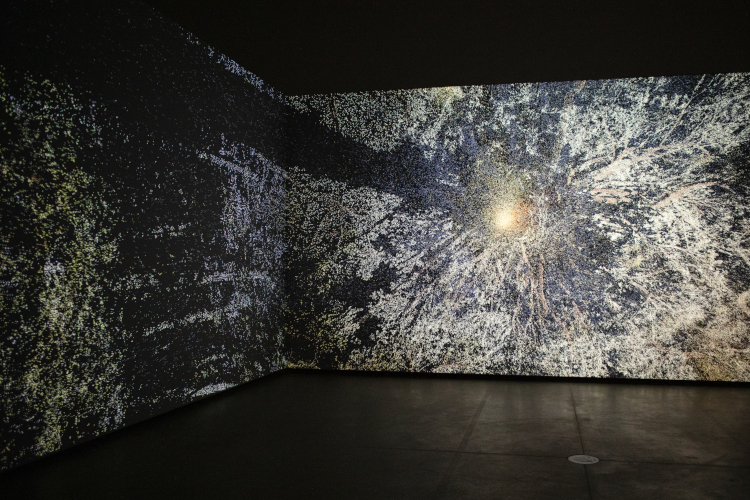 Atmospheric Forest, Rasa Smite & Raitis Smits courtesy of the artist