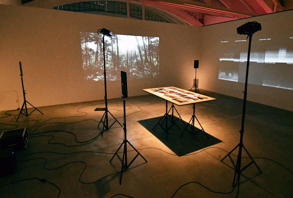 Perimeter Pfynwald de Marcus Maeder vista de la exposición.